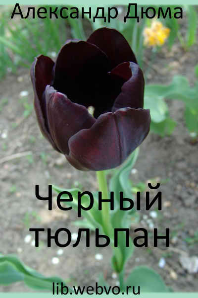 Александр Дюма, Черный тюльпан, обложка бесплатной электронной книги